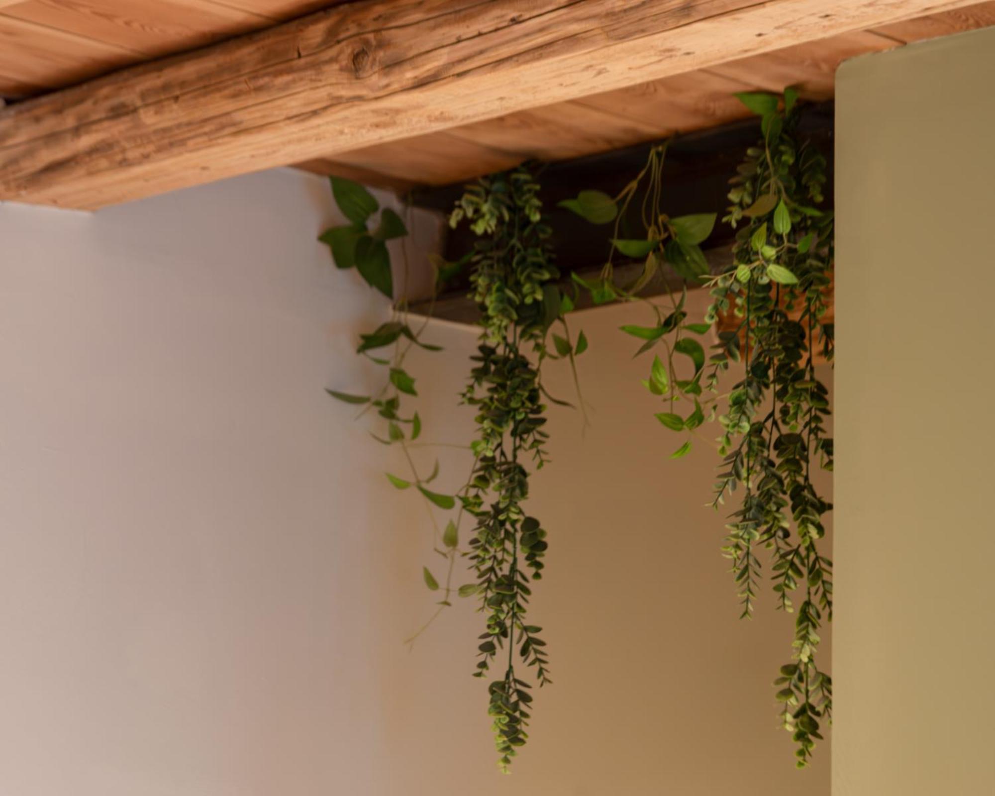 Bacaria Bed&Breakfast Bassano del Grappa Exterior photo